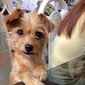 Meet your Posher, Kim trang